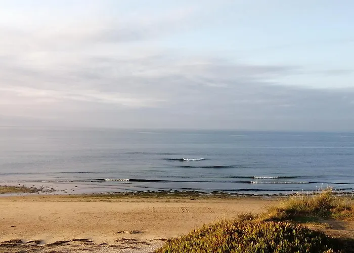 Nalu House - By The Apartment